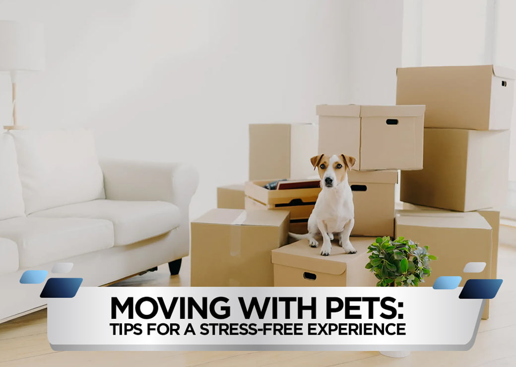Moving with Pets Tips for a Stress-Free Experience