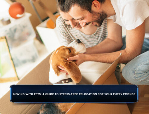 Moving with Pets: A Guide to Stress-Free Relocation for Your Furry Friends