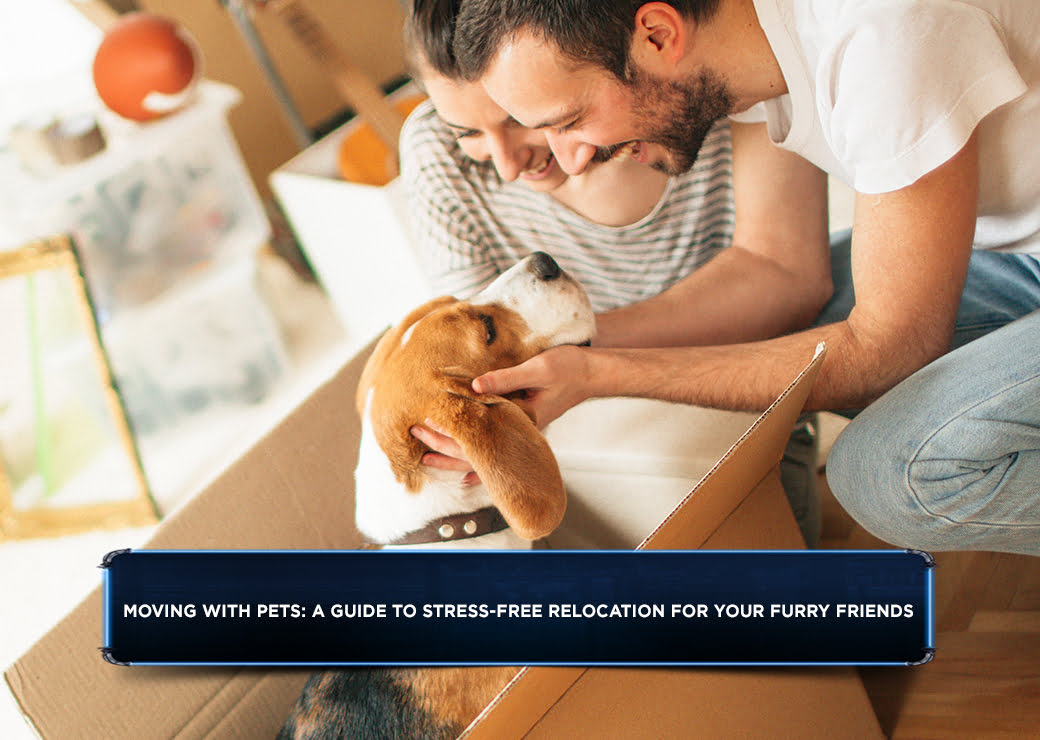 Moving with Pets: A Guide to Stress-Free Relocation for Your Furry Friends
